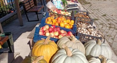 Kocaeli İzmit'te çiftçilerin üretici pazarı ilgisi