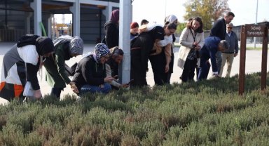Kocaeli'de aromatik bitki kurslarına ilgi arttı
