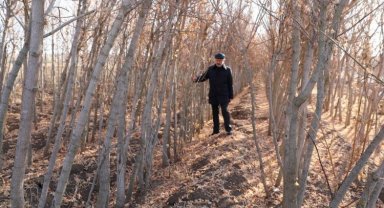 Kuru yapraklar Kocasinan'da gübre oluyor