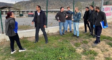 Kütahya'da sokak hayvanlarına belediye şefkati