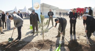 Kütahya'daki madenlerini 80 bin fidanla yeşeriyor