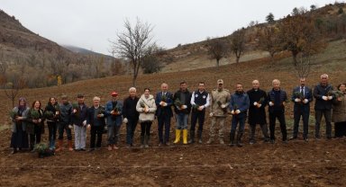 Lavanta turizmi Ordu'yu ihya edecek