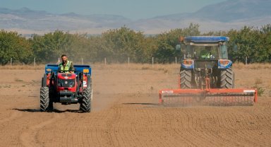 Malatya çim ve fidan üretiyor