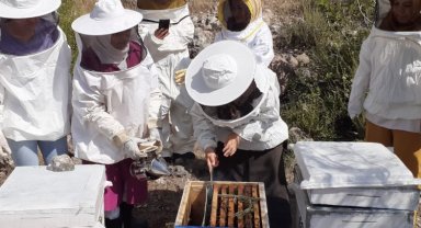 Manisa'da arıcılara kışlatma eğitimi