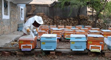 Mardinli kadınlardan 'bal'lı kazanç