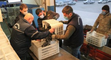 Marmarabirlik'ten ilk dilim ödemeler bu gece hesaplarda