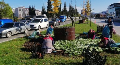 Mevsimlik çiçekler toprakla buluşuyor