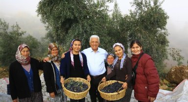 Muğla'da 135 çevre davası açıldı