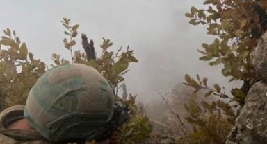 Pençe serisi operasyonlar aralıksız sürüyor