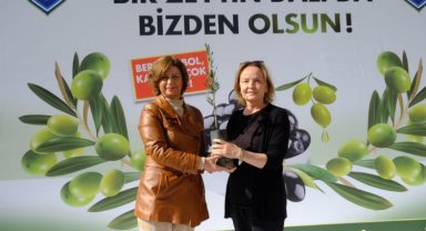 Sakarya Vadisi zeytin bahçesi olacak