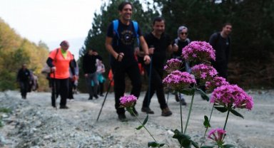 Sakarya'da sonbahar keşfi