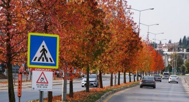 Sakarya'nın dokunduğu yollarda sonbahar esintisi