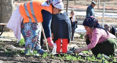 Şehirli çiftçiler Mahalle Bostanı'nda kış sebzeleri ekti