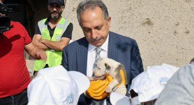 Talas Pati Evi örnek oluyor