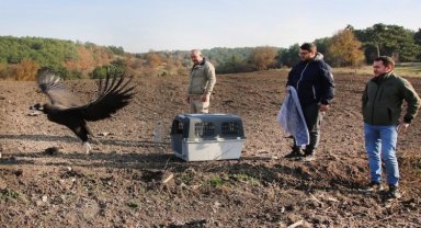 Tedavileri bitti, özgürlüğe uçtular