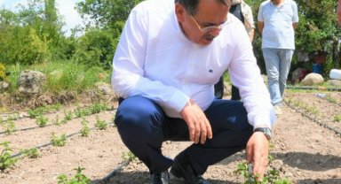 Üreticilere sebze tohumu desteği