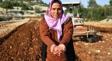 Yerel buğday gelecek nesillere aktarılıyor
