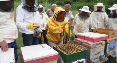 41 bine yakın kişi KO-MEK'in hakkını verdi