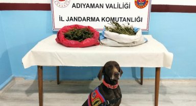 Adıyaman'da uyuşturucuya geçit yok!