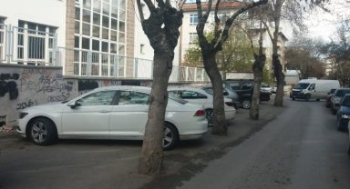 Afyonkarahisar'da otopark için ağaçların köküne asfalt döktüler!