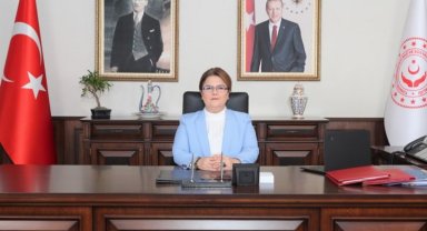 Aile ve Sosyal Hizmetler 'Enstitü' kuruyor