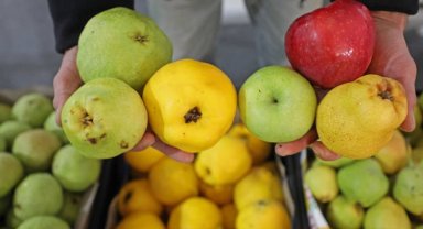 Antalya Büyükşehir Yerli Malı Haftası'nı kutluyor