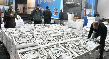 Barakadan modern tesise: Balık hali esnafı memnun