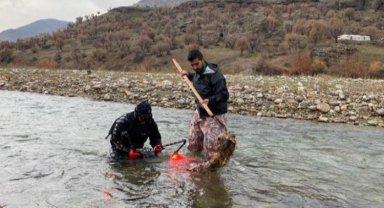 'Batman Çöpçü Balığı' için Sason Çayı temizleniyor