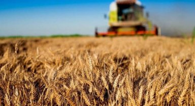 Bazı tarım ürünlerinin ihracatına ilişkin düzenleme 30 Haziran'a kadar uzatıldı