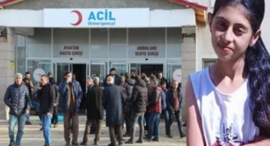Bingöl'de Helen'in ölümüne neden olan sürücü tutuklandı
