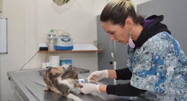 Bursa Yıldırım'da sessiz sakinlere 7/24 hizmet