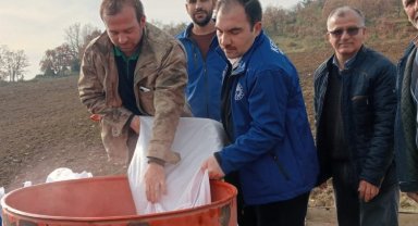 Bursa'da atıl topraklar buğday desteğiyle hayat buluyor