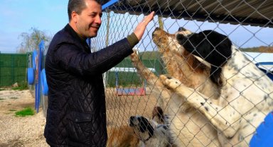 CHP'li Meclis Üyesi Şehitoğlu'ndan Bursalılara çağrı