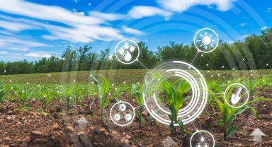 Dijital tarımla çiftçiye önemli tasarruf