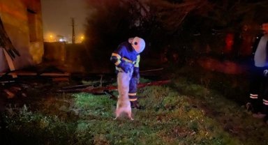 Düzce'de metruk binadaki yangında mahsur kalan köpek kurtarıldı