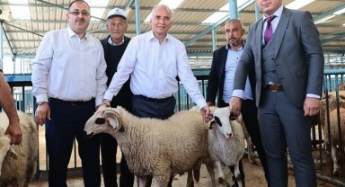 Hayvan üreticilerine damızlık koç ve teke hibe