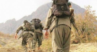 İçişleri: İknayla teslim sayısı 117'ye yükseldi