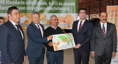 İzmir'de mandalina üreticileri 'İyi Tarım'la üretiyor