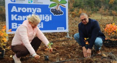 İzmit'in aronyaları Antalya'daki kardeşlik bahçesinde buluştu