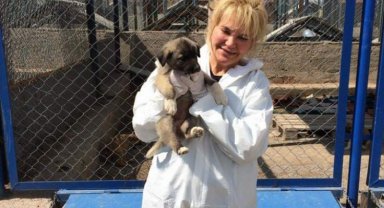 KAYHAKDER Başkanı UZEL; "Sokak Hayvanları Sahipsiz Değildir"