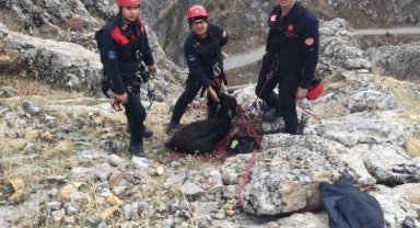 Kayseri Büyükşehir keçiyi 3 saatte kurtardı