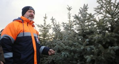 Kayseri Kocasinan'da herkese bir dikili ağaç!