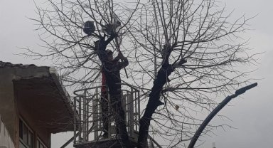 Keşan itfaiyesinden kedi operasyonu