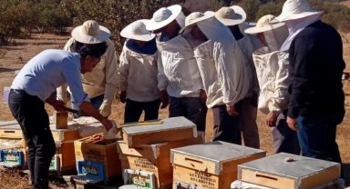 Manisa Saruhanlı'da 'kışlatma' eğitimi