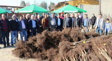 Manisa'da üreticilere Büyükşehir'den meyve fidanı katkısı