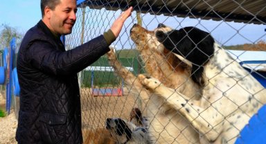 Mesut Şehitoğlu'ndan Bursalılara çağrı; "Her aile 1 can dostu sahiplenmeli"