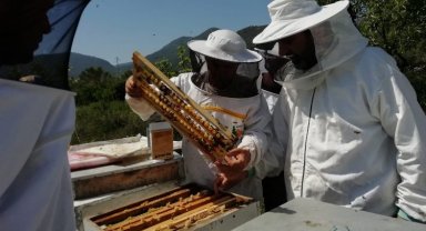 Muğla'da GEKA arıcılık sektörüne yön veriyor