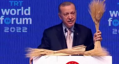 Tahıl krizi için Putin'le görüşülecek