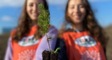 TEMA Vakfı'ndan fidan bağışı çağrısı