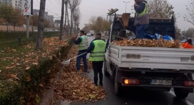 Toplanan gazel gübreye dönüşüyor